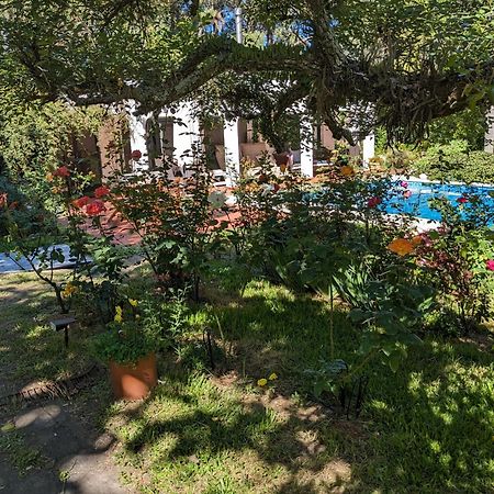 Casa Pura Vida Ξενοδοχείο Punta Ballena Εξωτερικό φωτογραφία