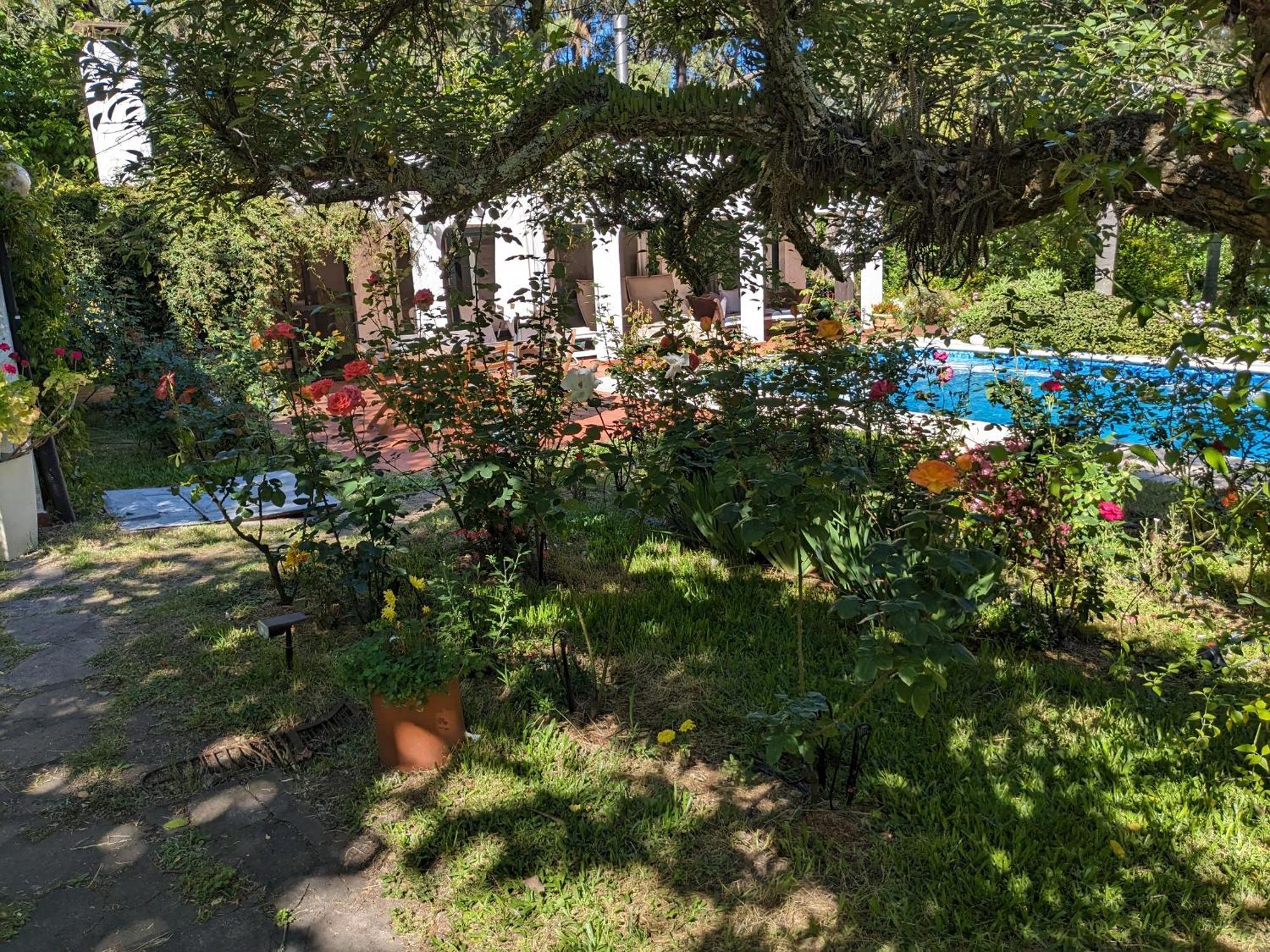 Casa Pura Vida Ξενοδοχείο Punta Ballena Εξωτερικό φωτογραφία